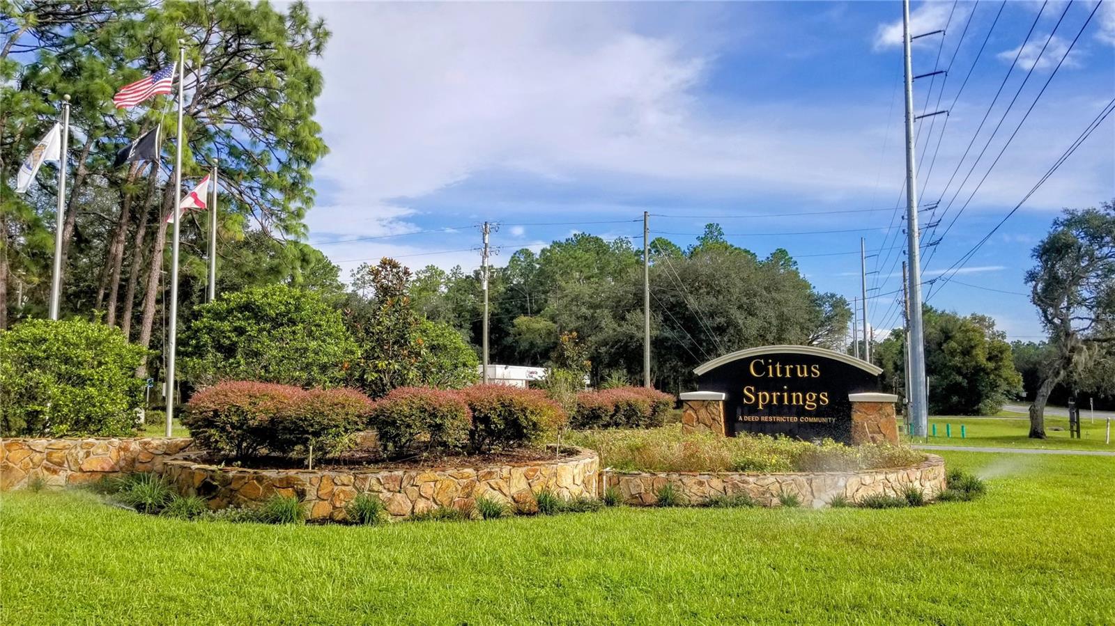 8844 N Lily Dr Property Photo 17