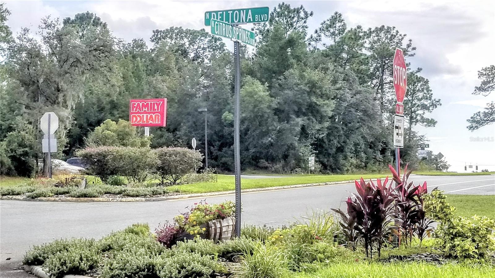 8844 N Lily Dr Property Photo 19