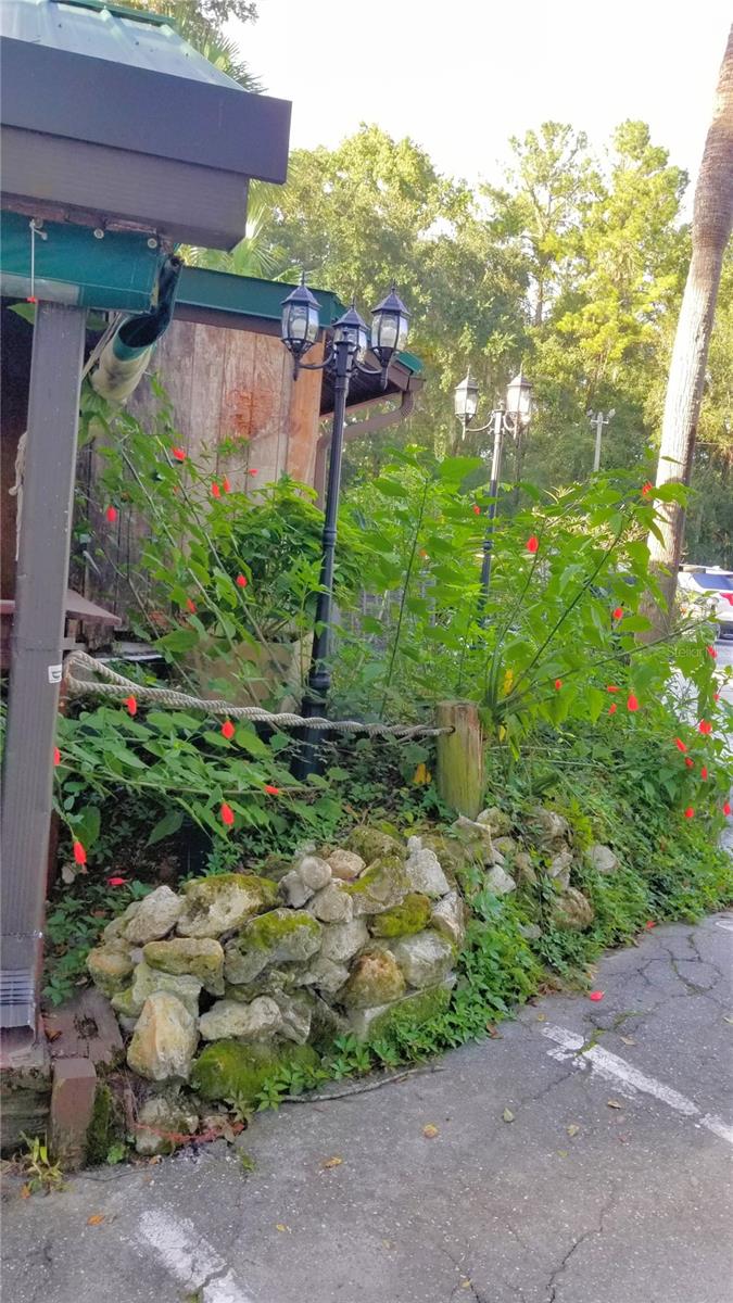 8844 N Lily Dr Property Photo 30