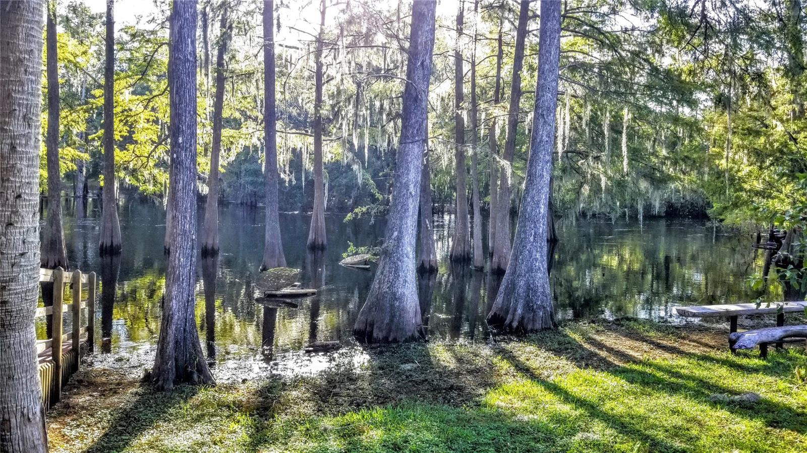 8844 N Lily Dr Property Photo 31