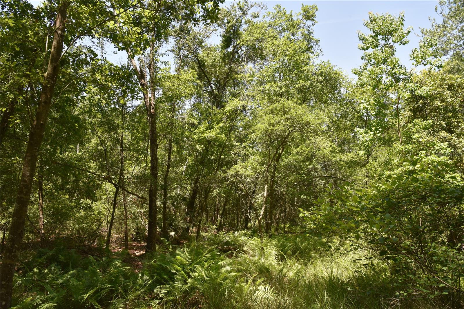 21312 Ne 69th Pl Property Photo 22