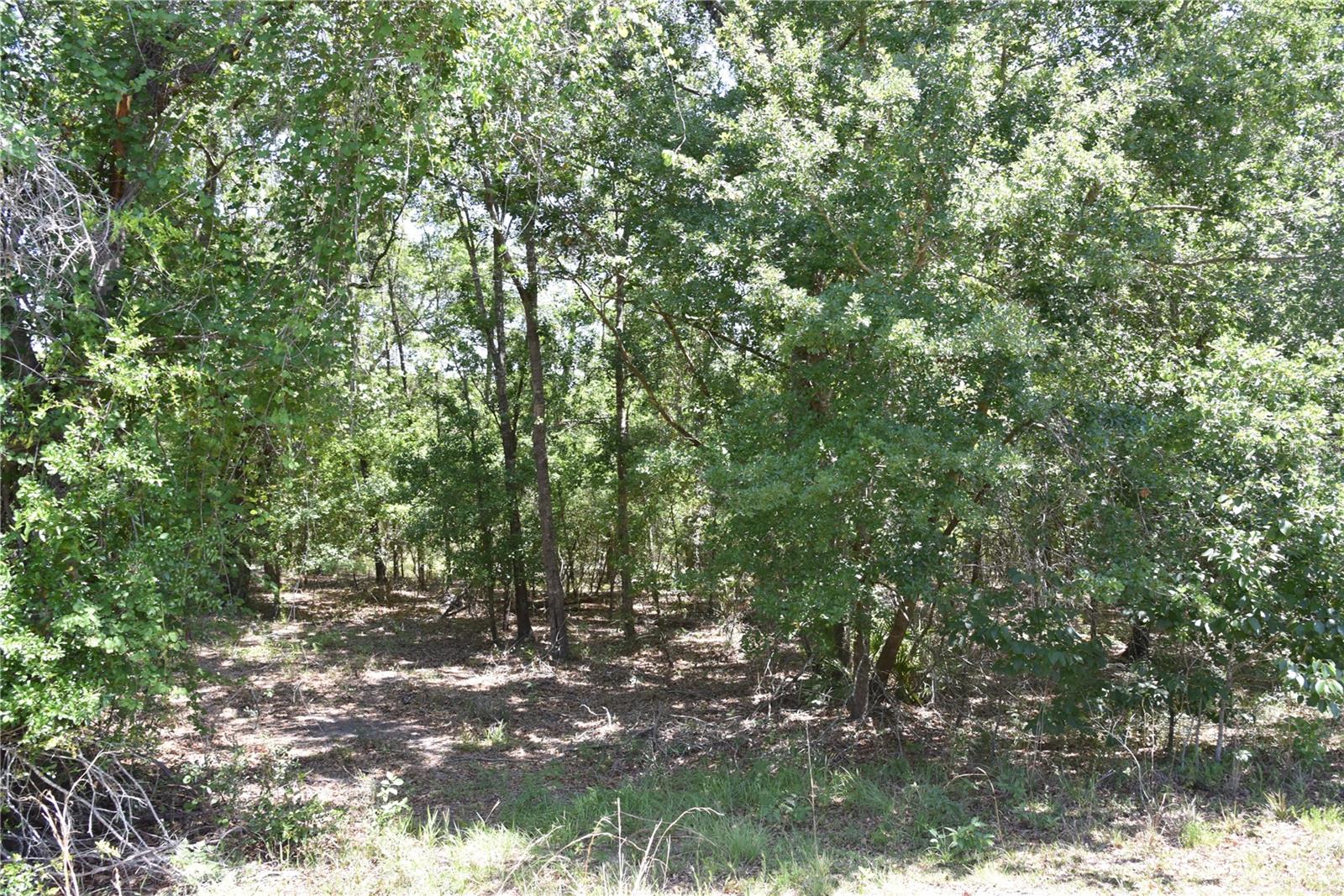 21312 Ne 69th Pl Property Photo 23