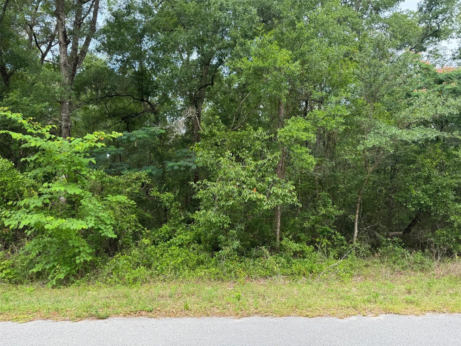Lot 14 SW CHANEL HEIGHTS CT Property Photo 1