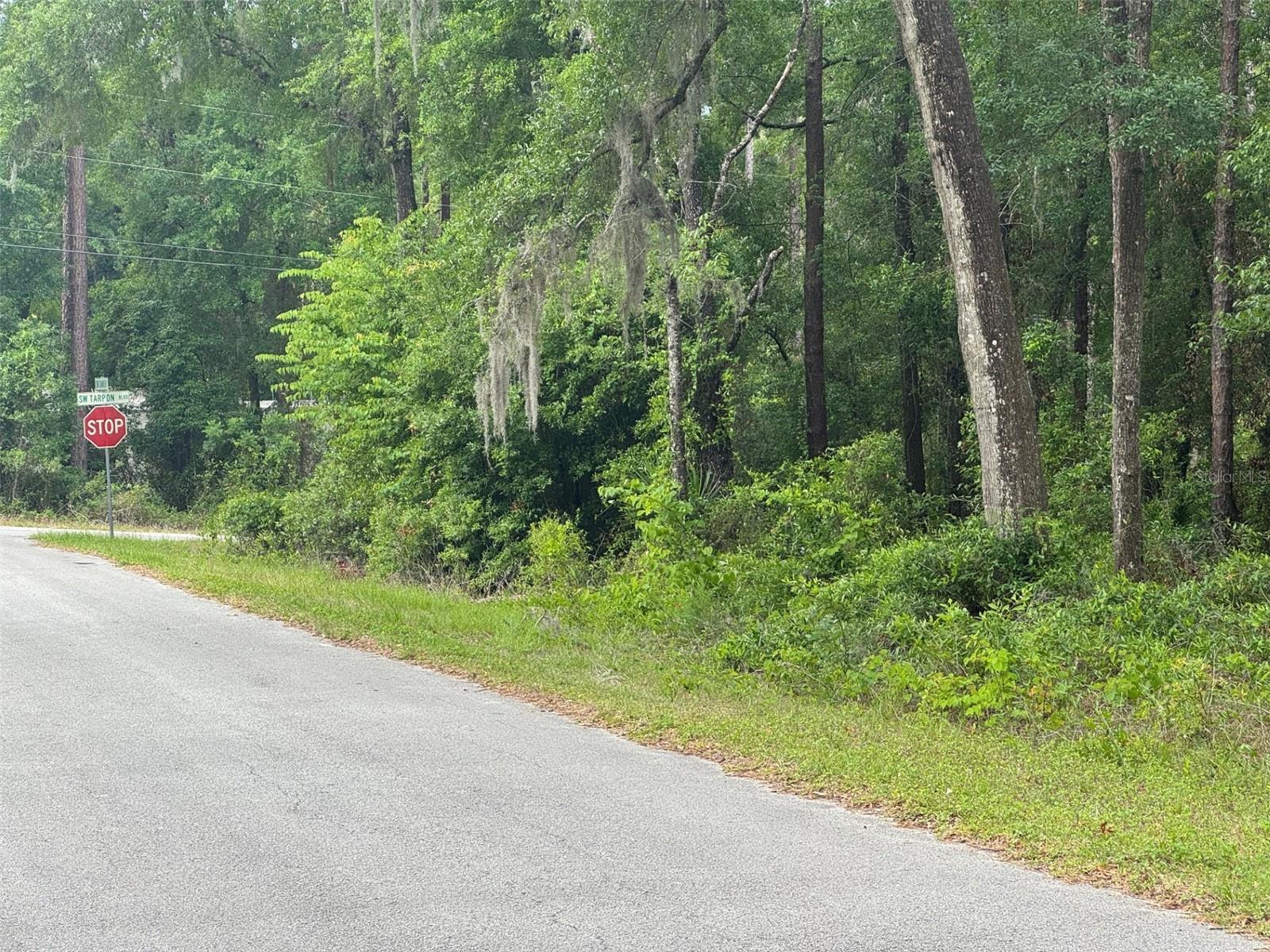 Lot 14 Sw Chanel Heights Ct Property Photo 2