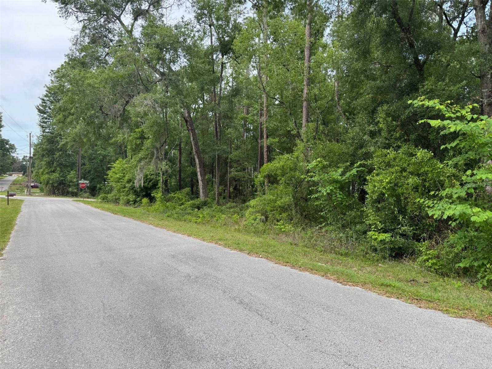 Lot 14 Sw Chanel Heights Ct Property Photo 3