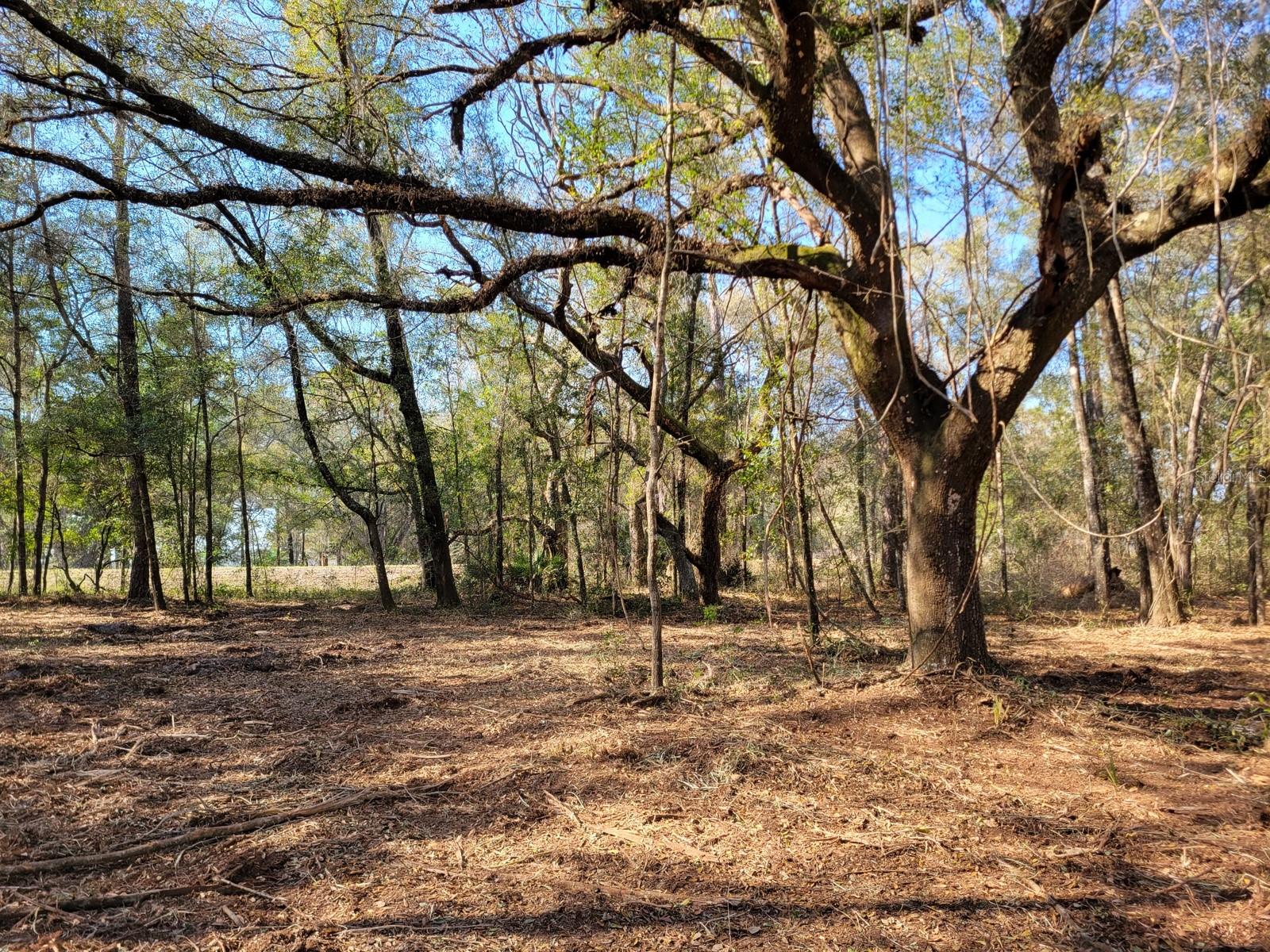 3.57ac Ne 315 Hwy #32 Property Photo 1