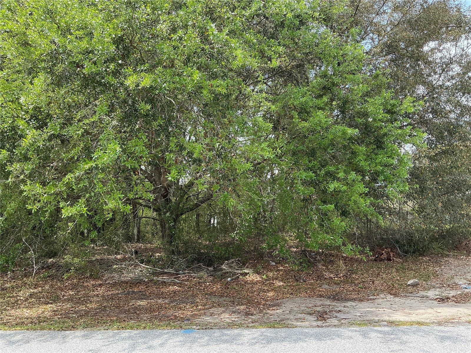 SW 40TH TER Property Photo 1