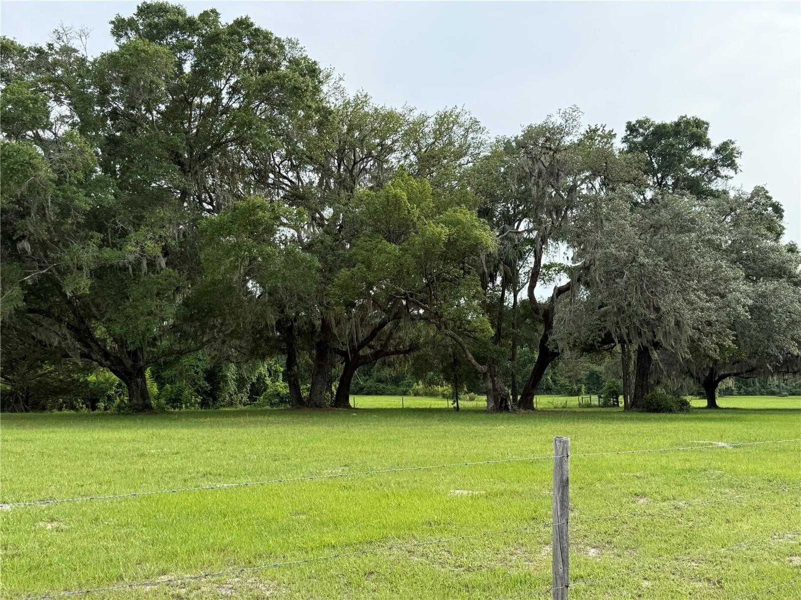 1360 S State Road 19 Property Photo 4