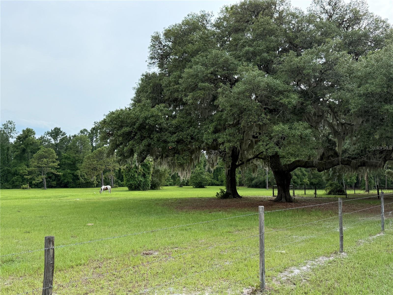 1360 S State Road 19 Property Photo 8