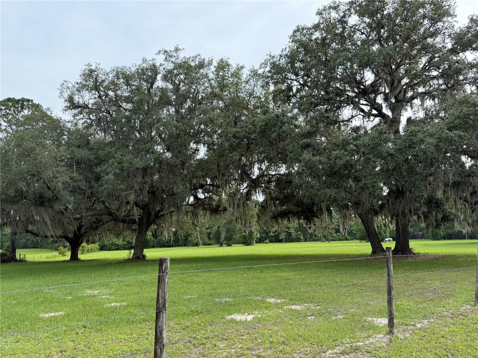 1360 S State Road 19 Property Photo 11