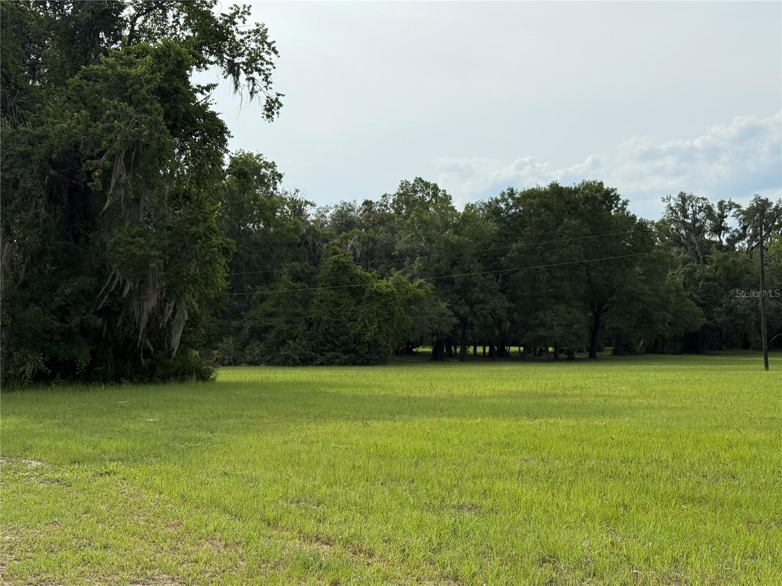 1360 S State Road 19 Property Photo 19
