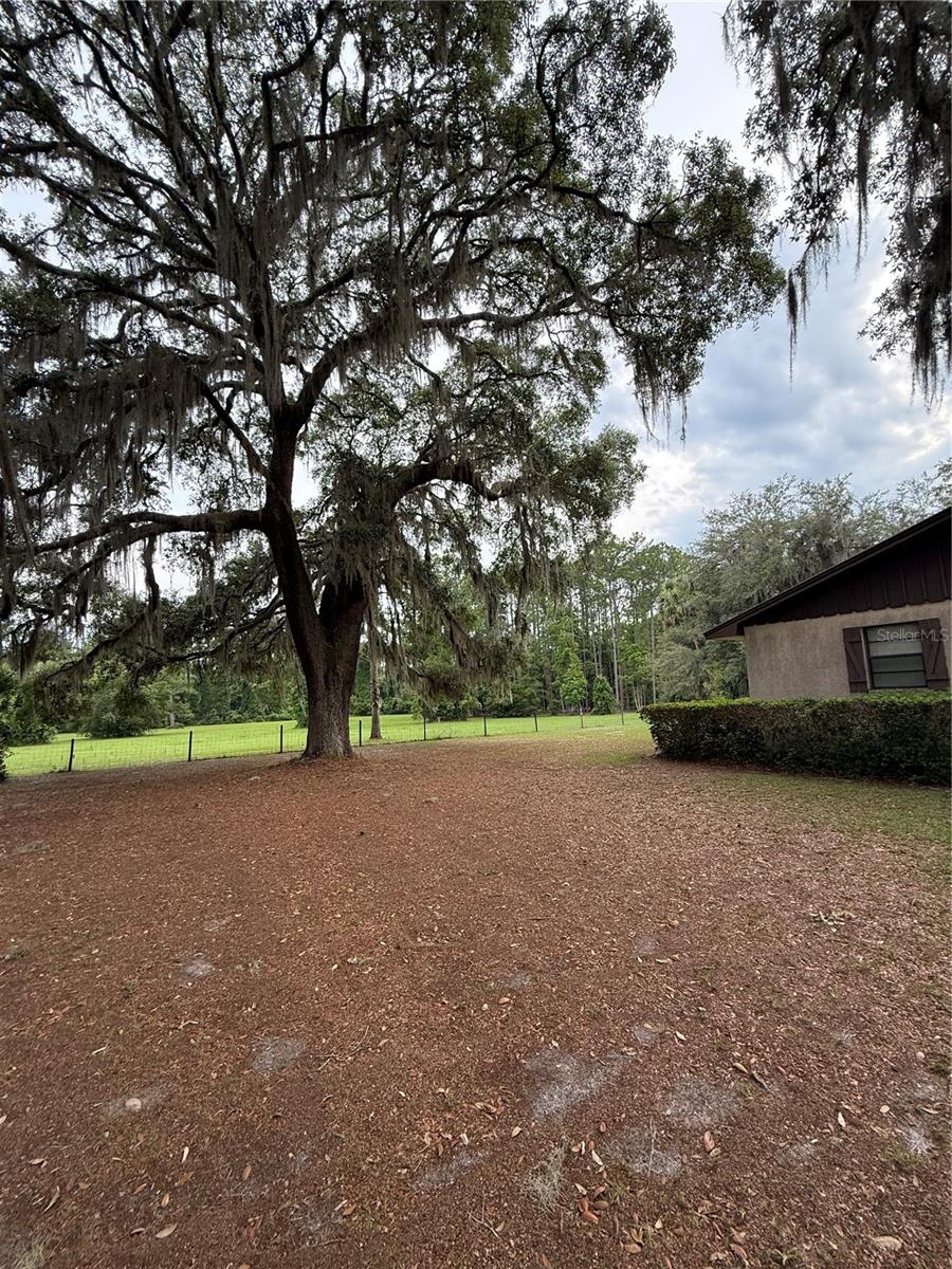 1360 S State Road 19 Property Photo 20