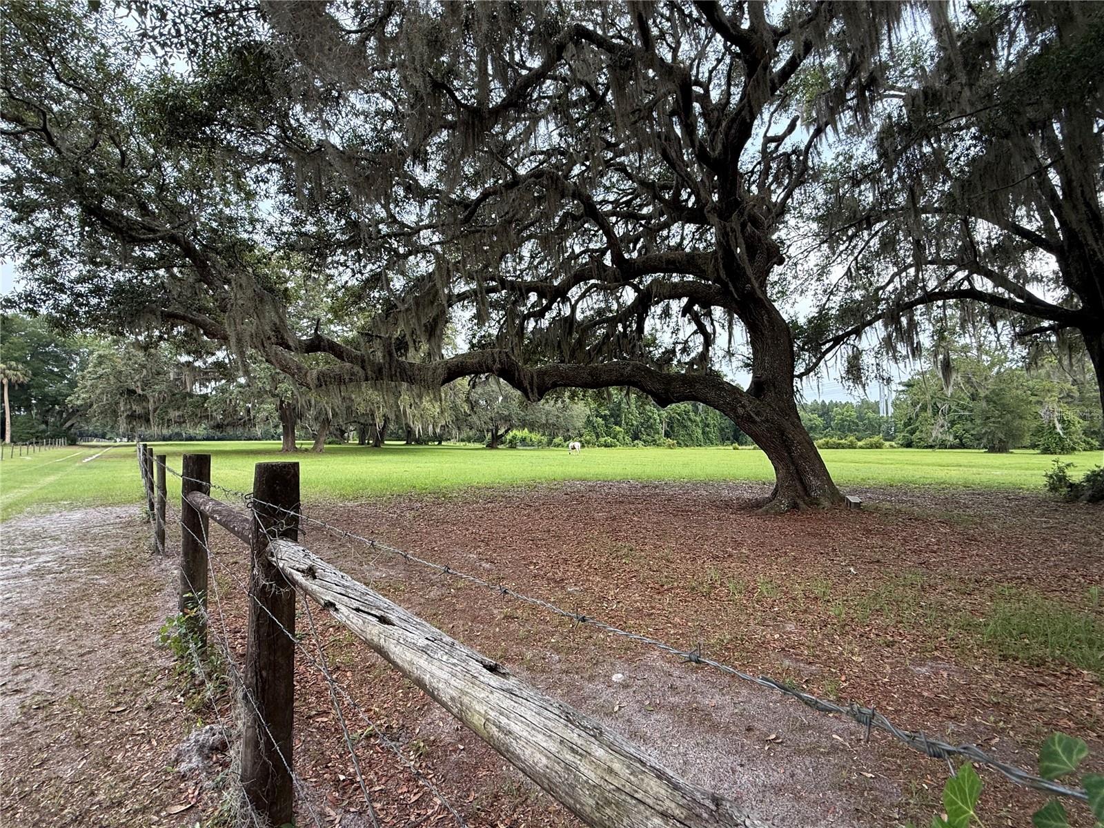 1360 S State Road 19 Property Photo 23