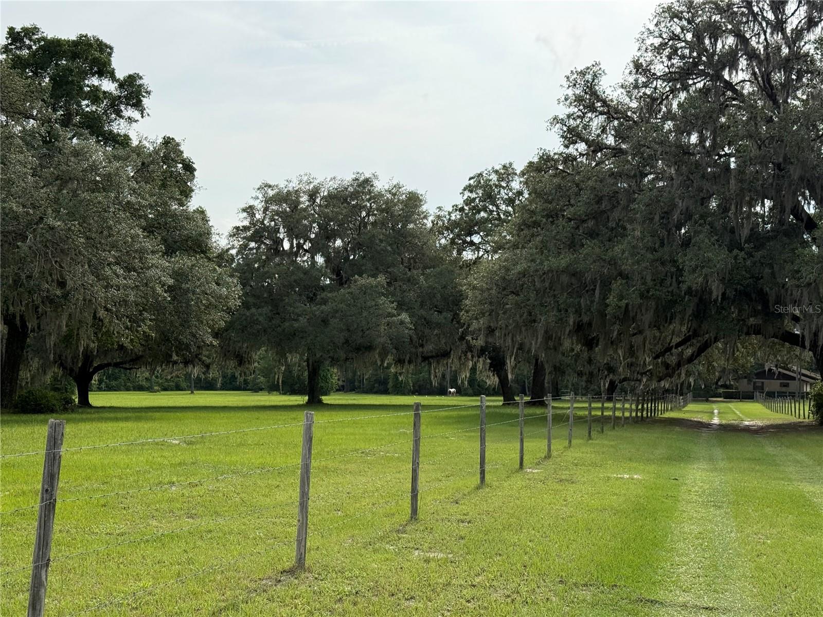 1360 S State Road 19 Property Photo 30