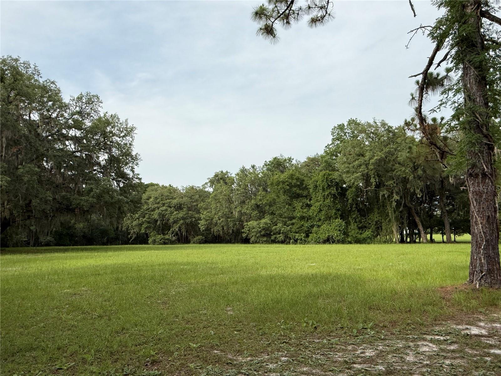 1360 S State Road 19 Property Photo 31