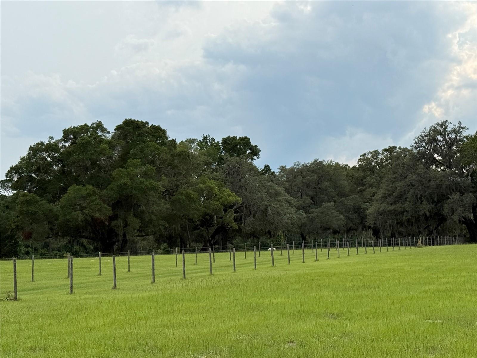 1360 S State Road 19 Property Photo 32