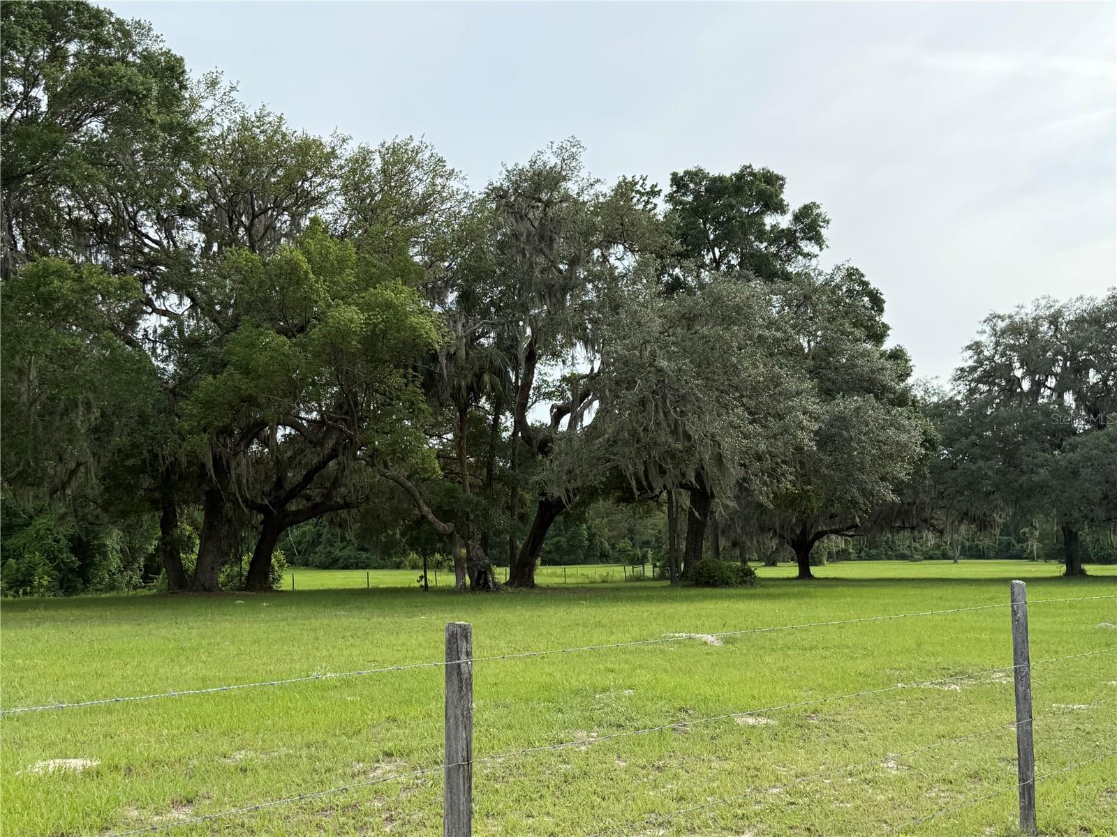 1360 S State Road 19 Property Photo 35