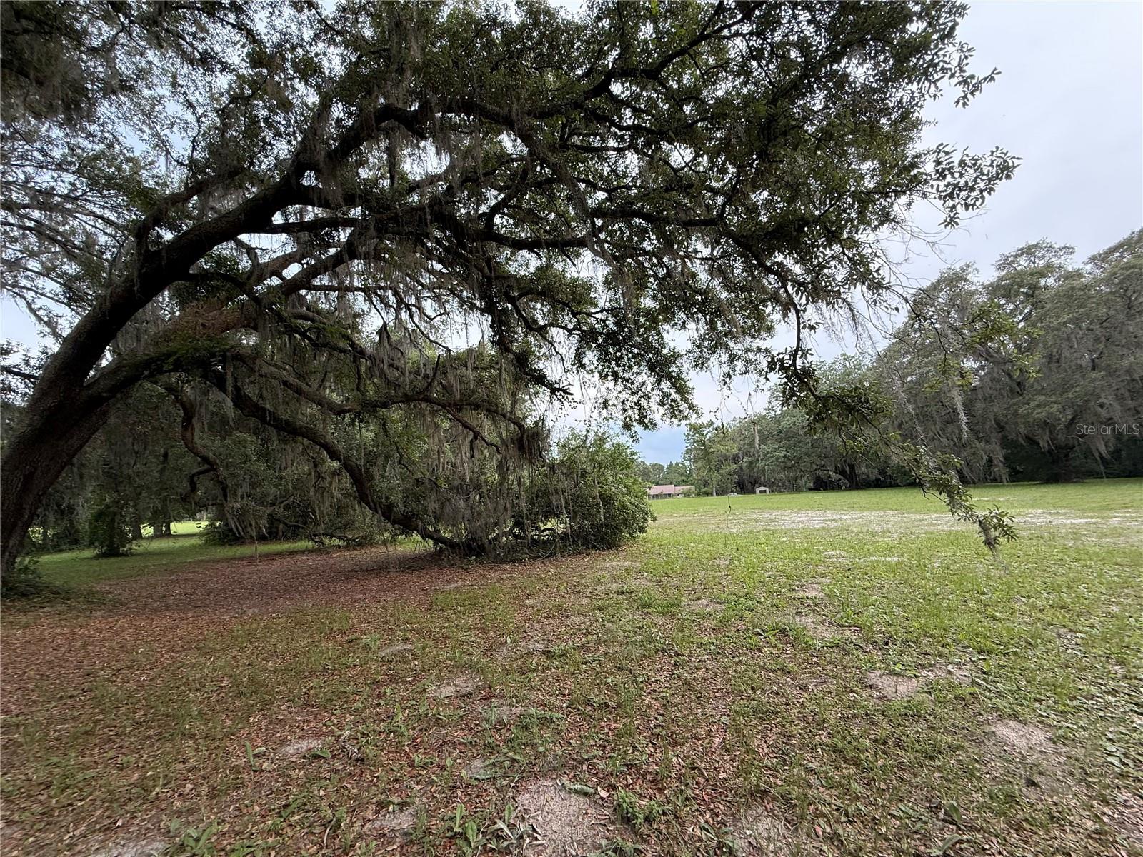 1360 S State Road 19 Property Photo 40