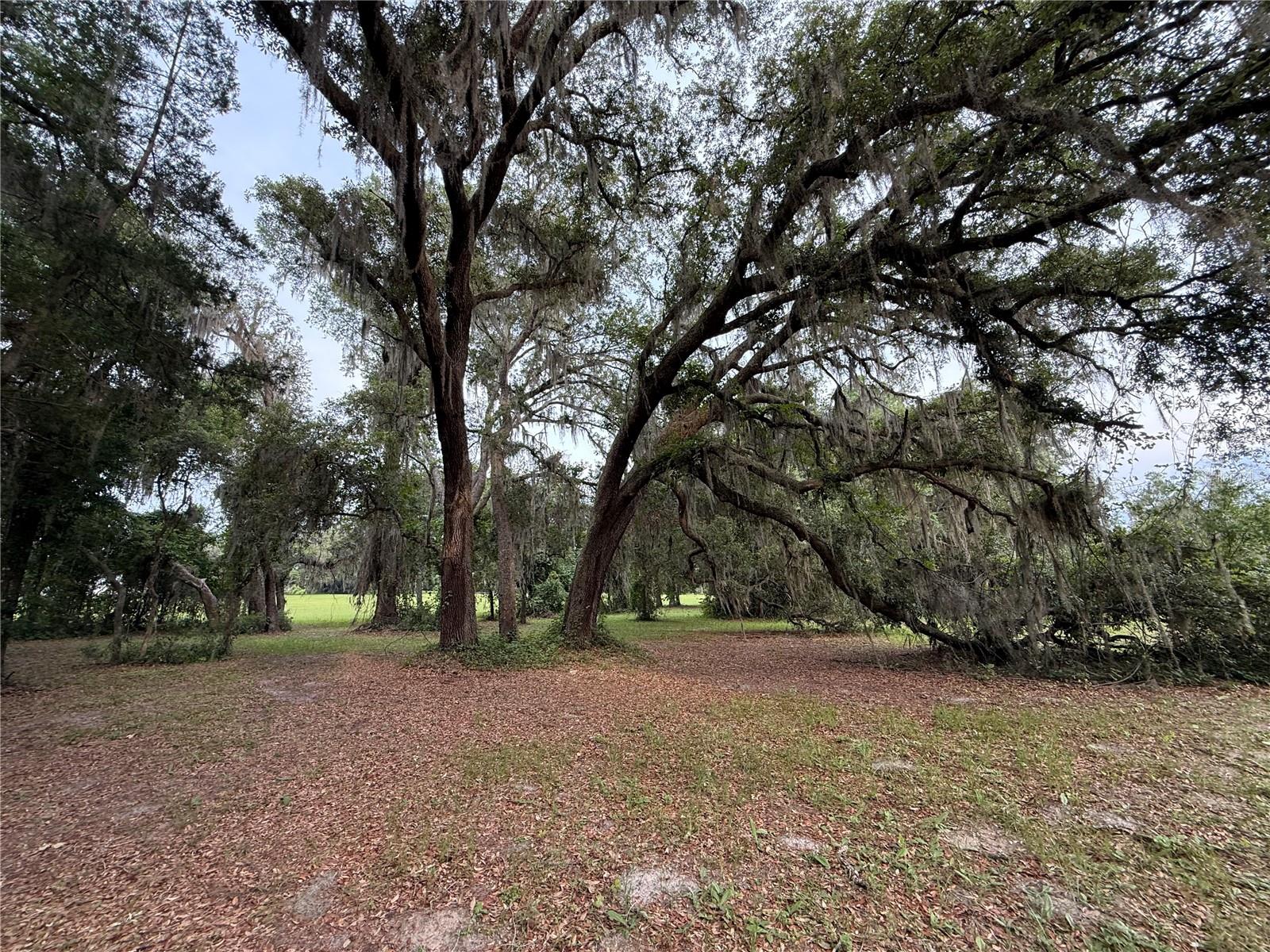1360 S State Road 19 Property Photo 41