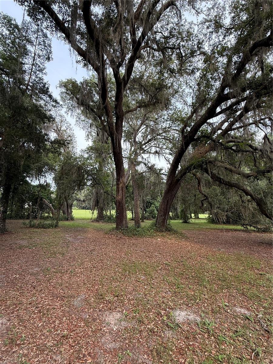 1360 S State Road 19 Property Photo 42