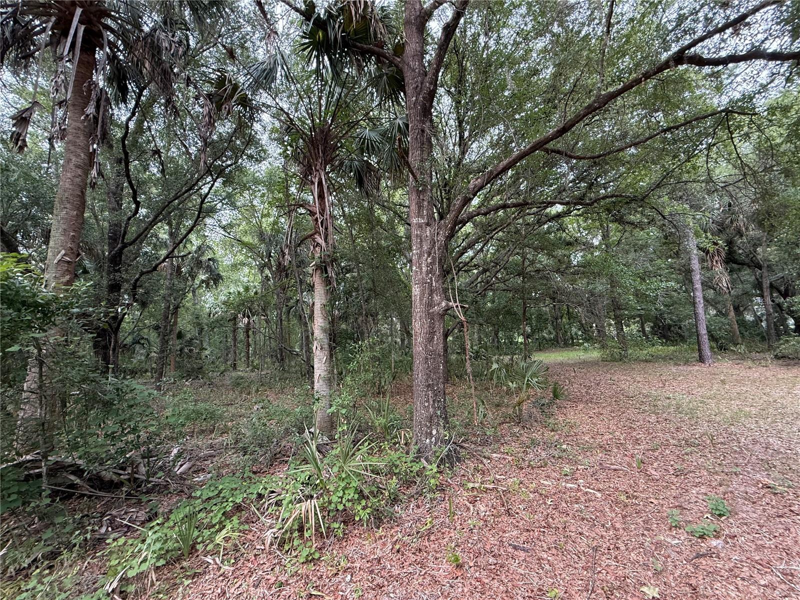 1360 S State Road 19 Property Photo 47