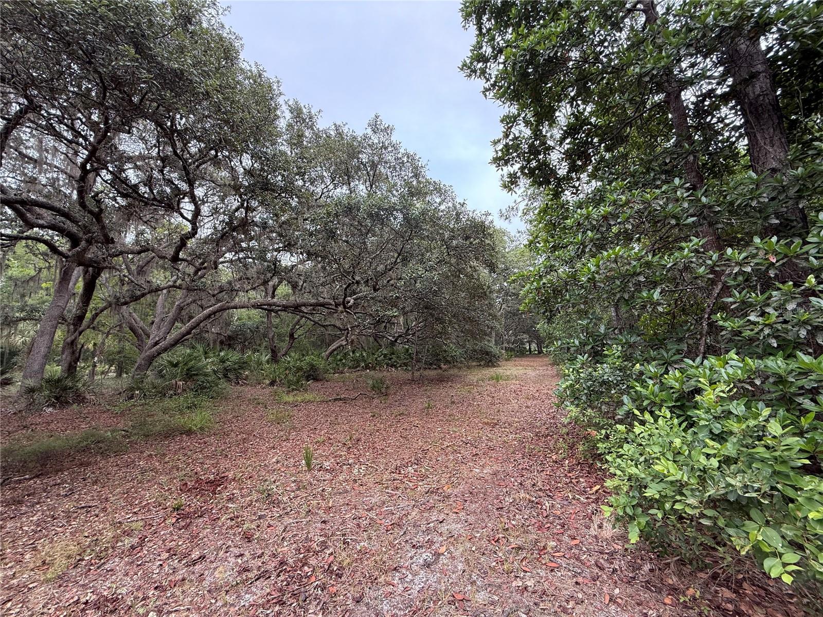 1360 S State Road 19 Property Photo 49
