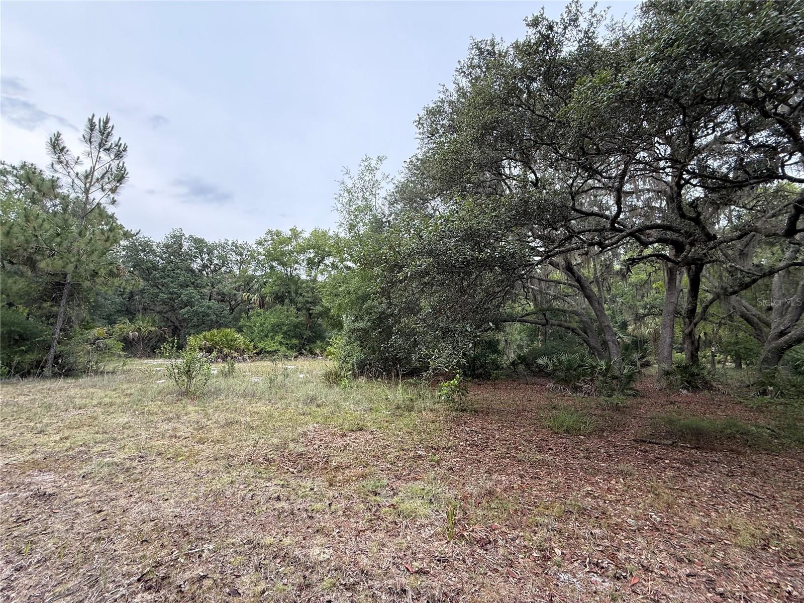 1360 S State Road 19 Property Photo 50