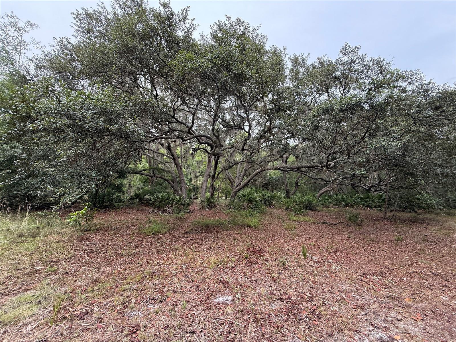1360 S State Road 19 Property Photo 51