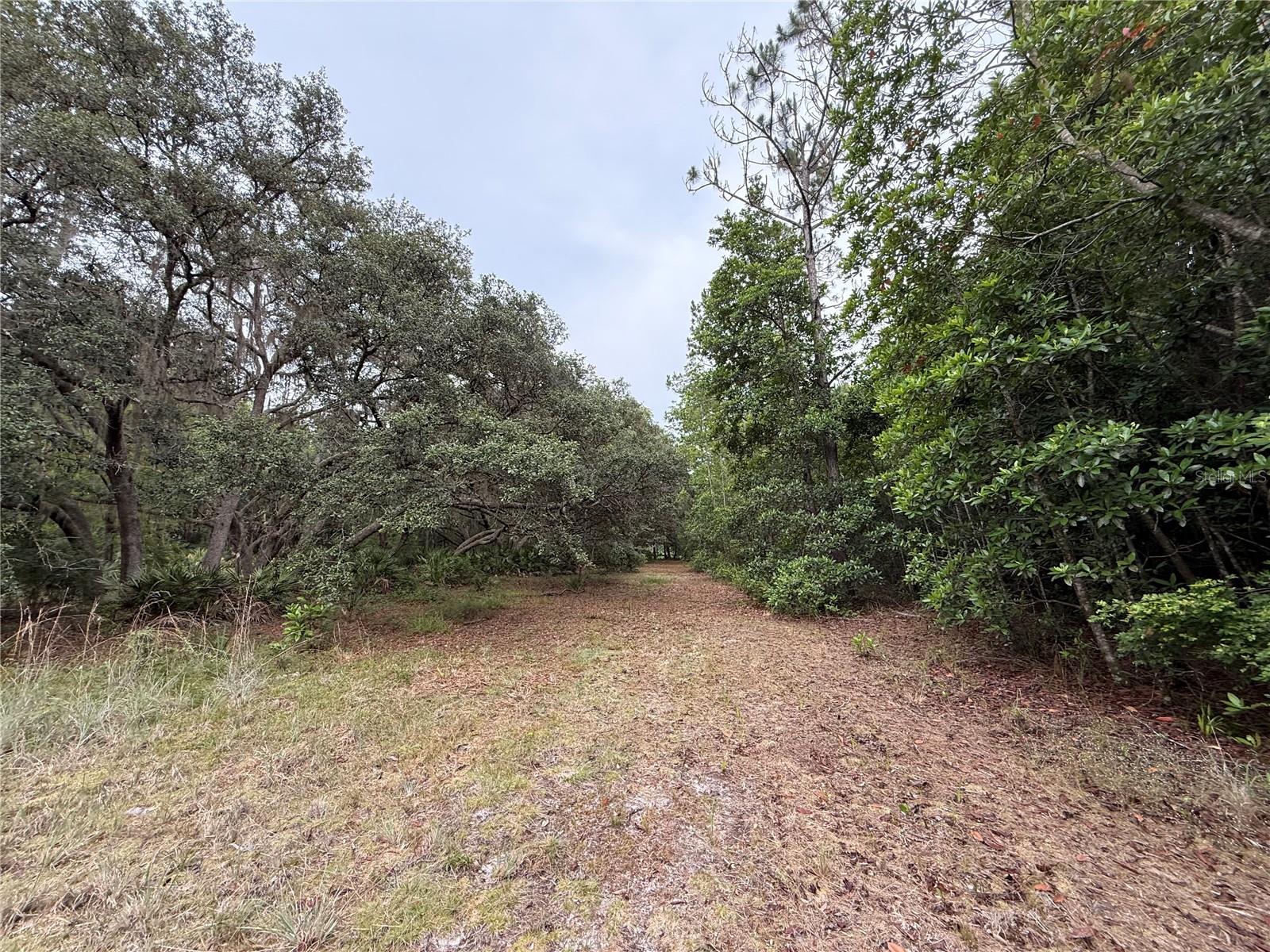 1360 S State Road 19 Property Photo 52