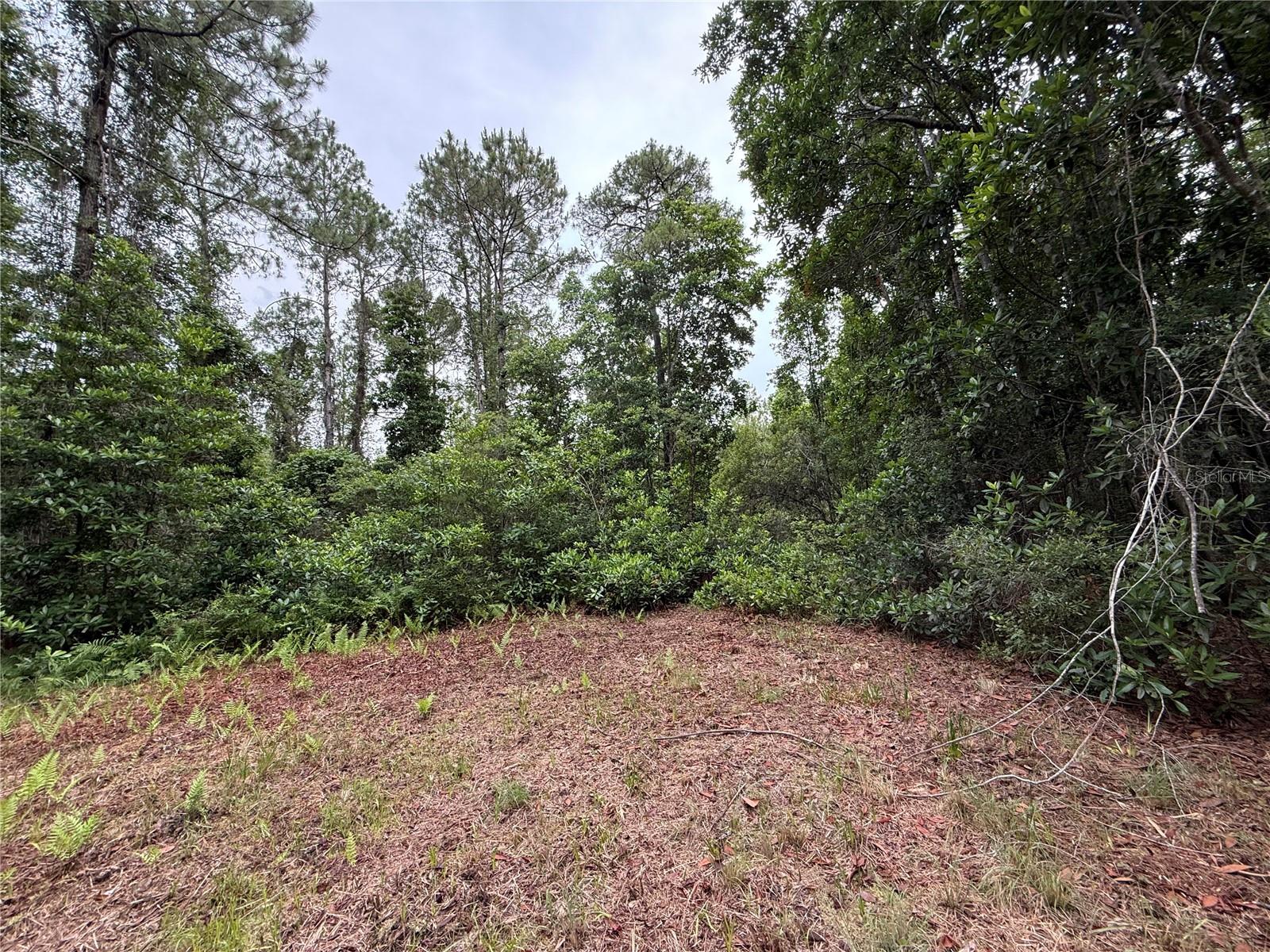 1360 S State Road 19 Property Photo 55