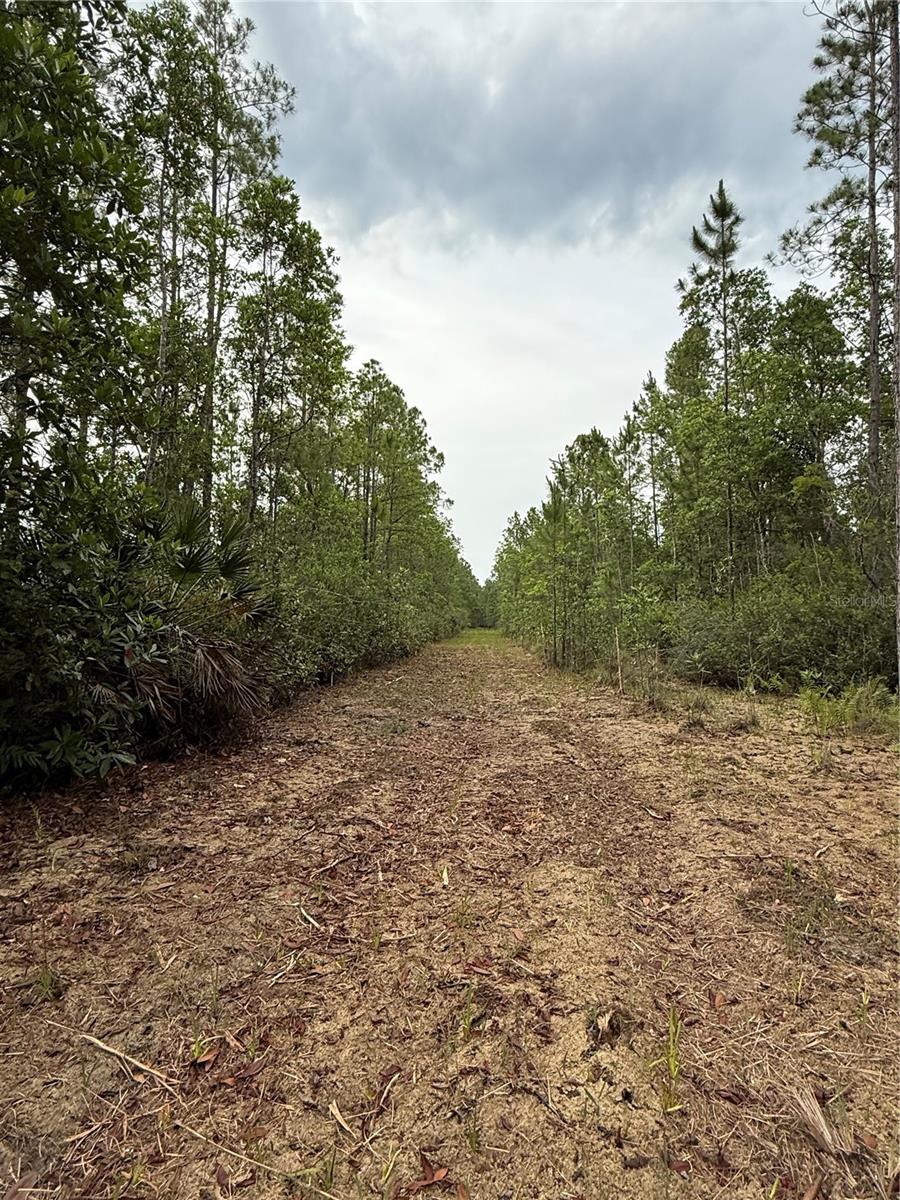 1360 S State Road 19 Property Photo 56