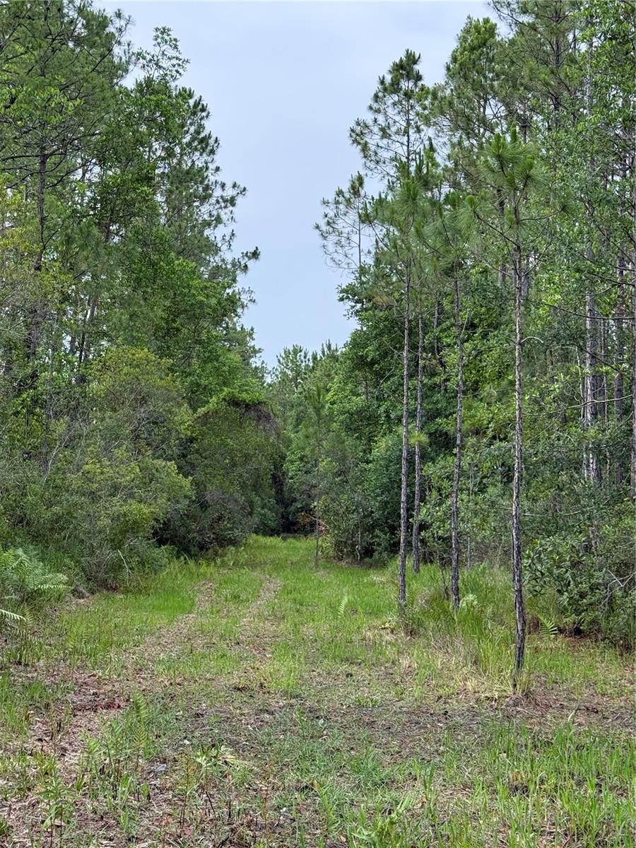 1360 S State Road 19 Property Photo 57