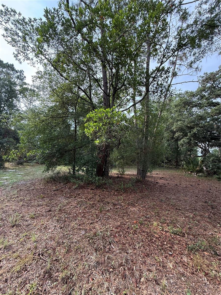 1360 S State Road 19 Property Photo 58