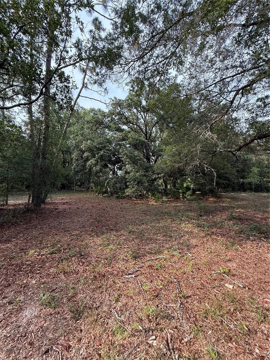 1360 S State Road 19 Property Photo 59