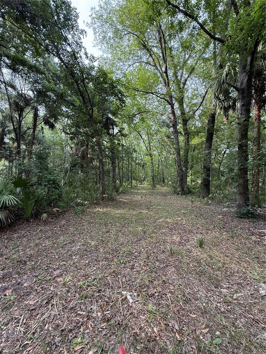 1360 S State Road 19 Property Photo 60