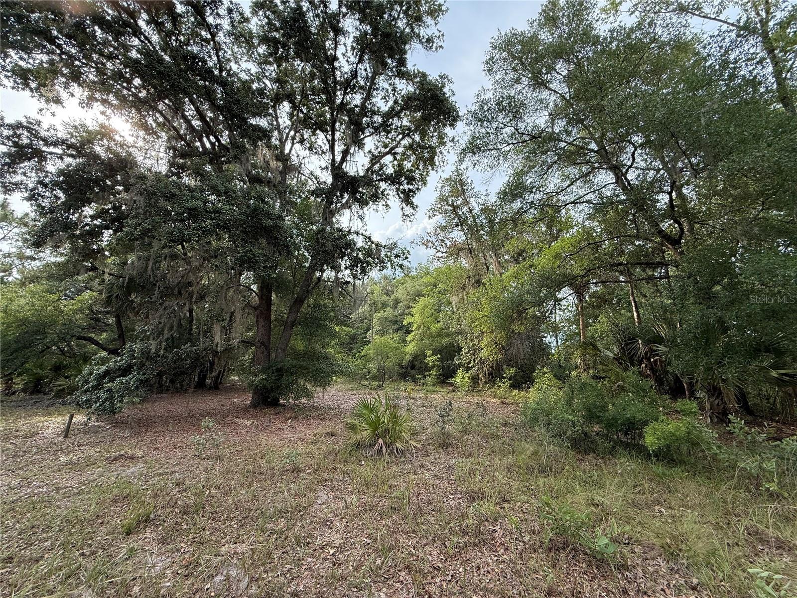 1360 S State Road 19 Property Photo 61
