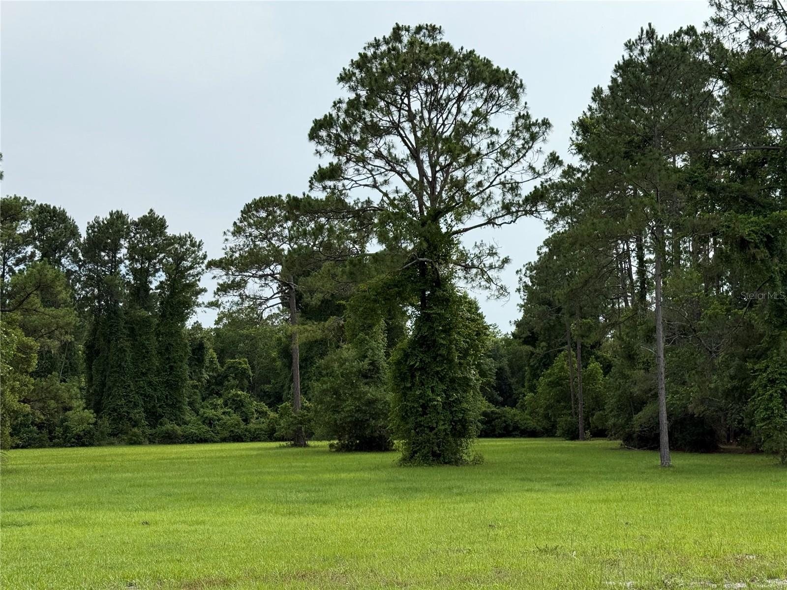 1360 S State Road 19 Property Photo 65