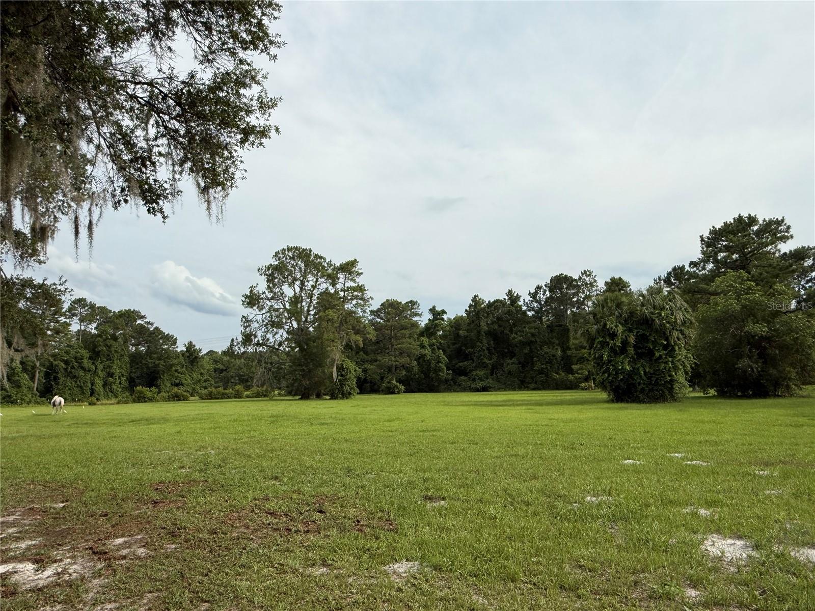 1360 S State Road 19 Property Photo 66
