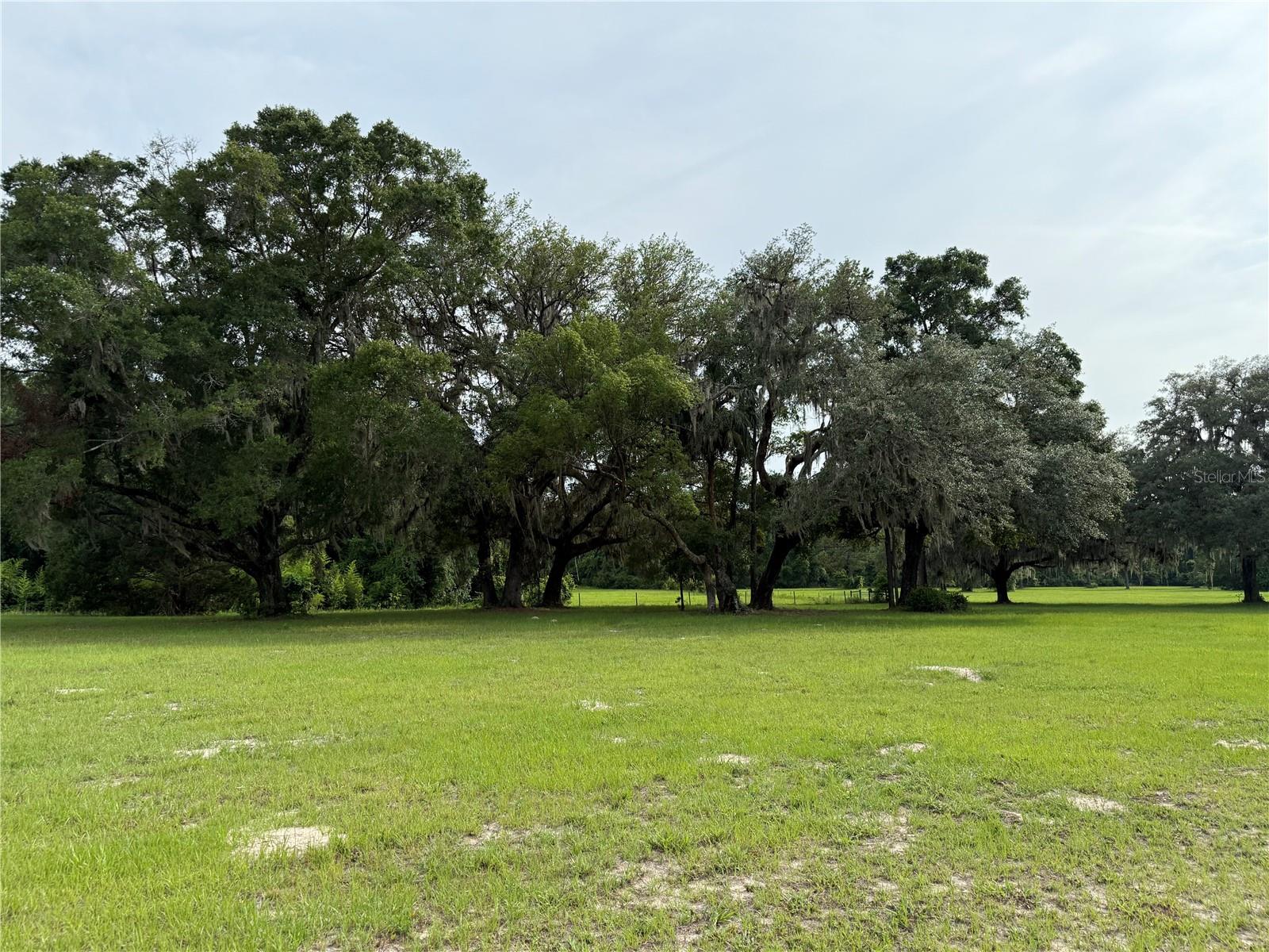 1360 S State Road 19 Property Photo 73