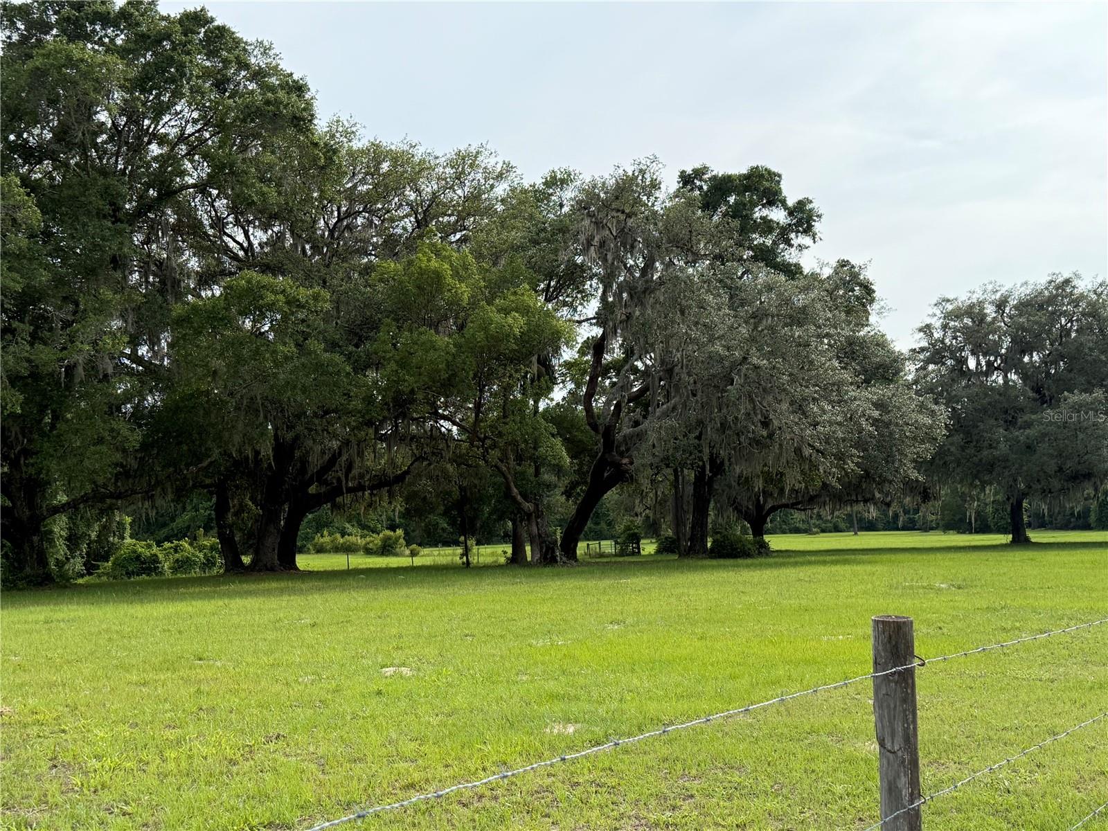 1360 S State Road 19 Property Photo 75