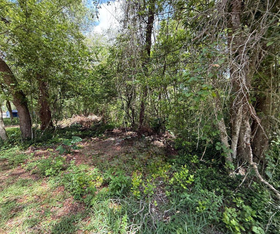2301 E Graves Ave Property Photo 10