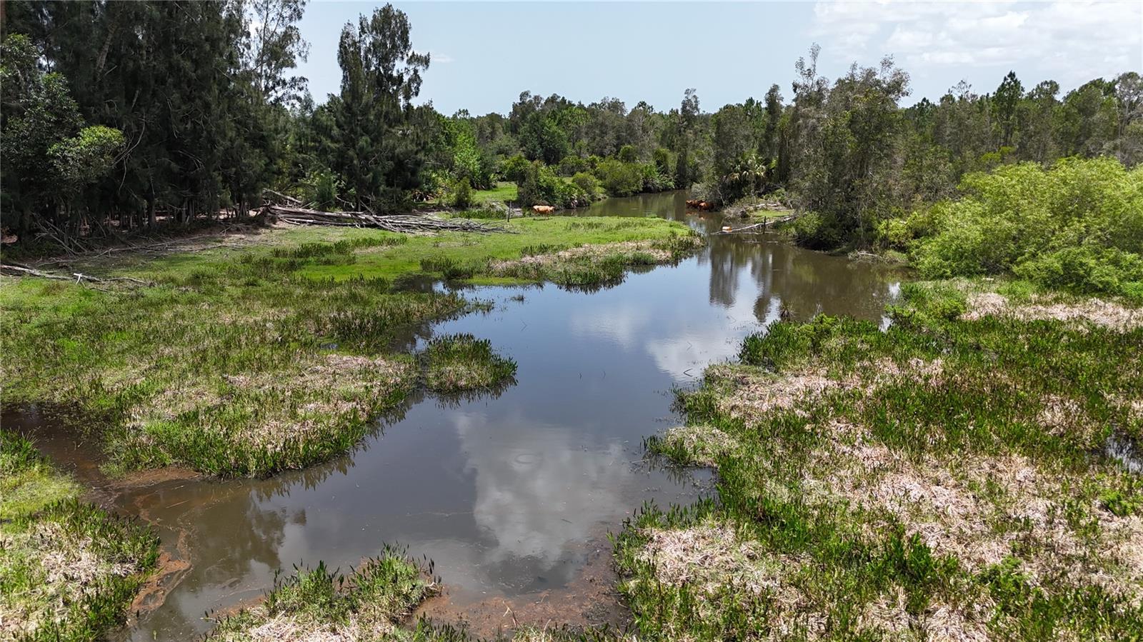 21081 Granville Rd Property Photo 5