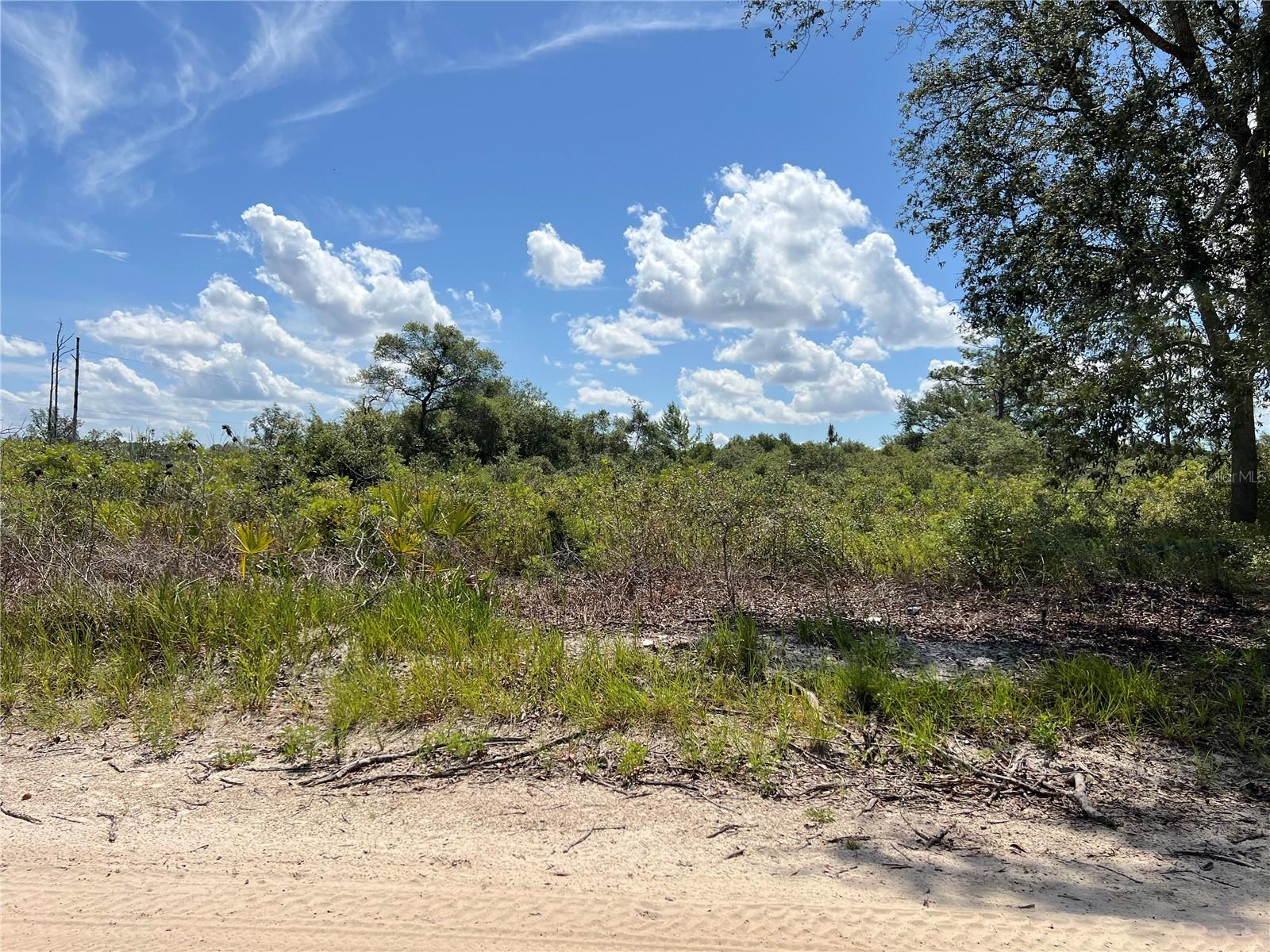 0 SW 157 LN Property Photo 1