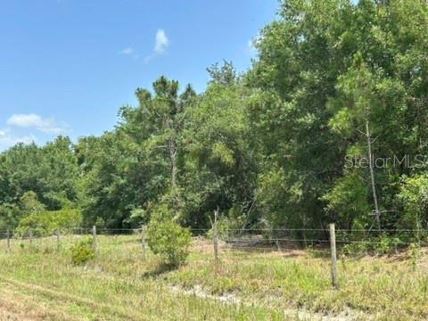 21041 Granville Rd Property Photo 4