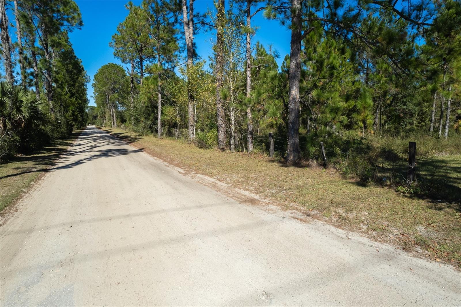 108 Willis Rd Property Photo 7