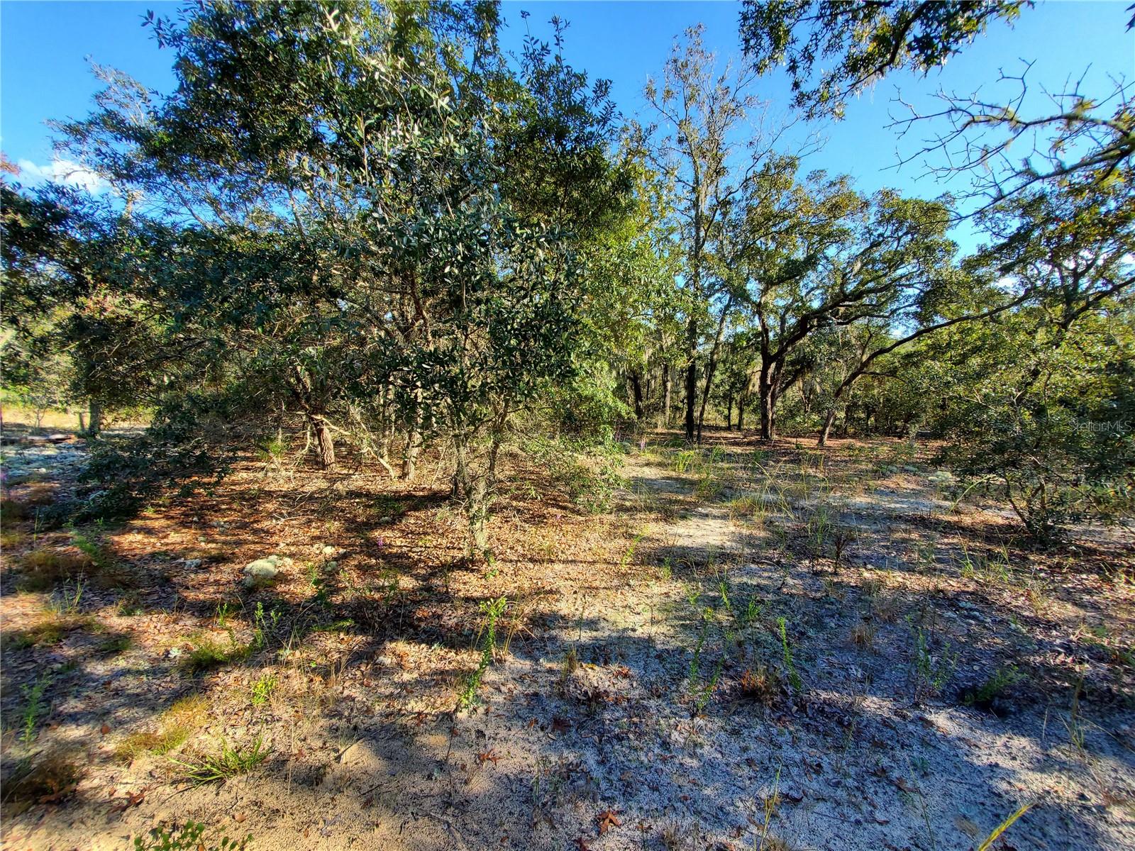 Lot 4 SW PARADISE HEIGHTS RD Property Photo 1