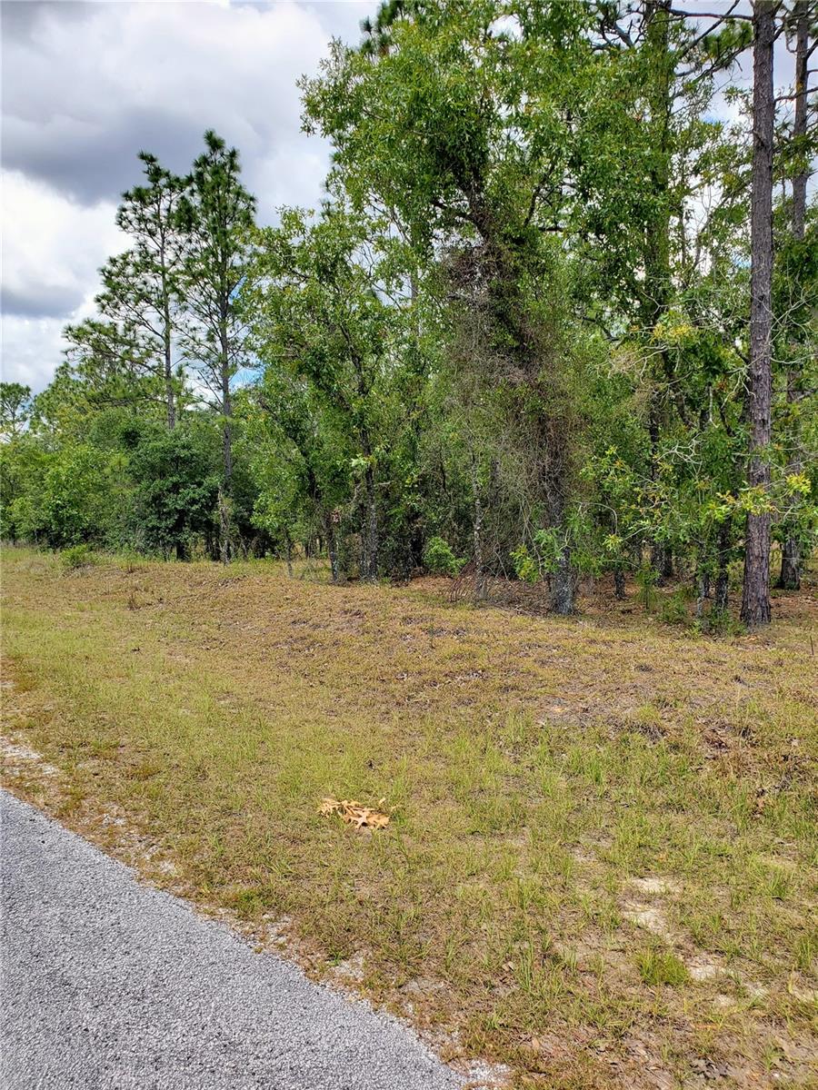 Pony Ridge Dr Property Photo