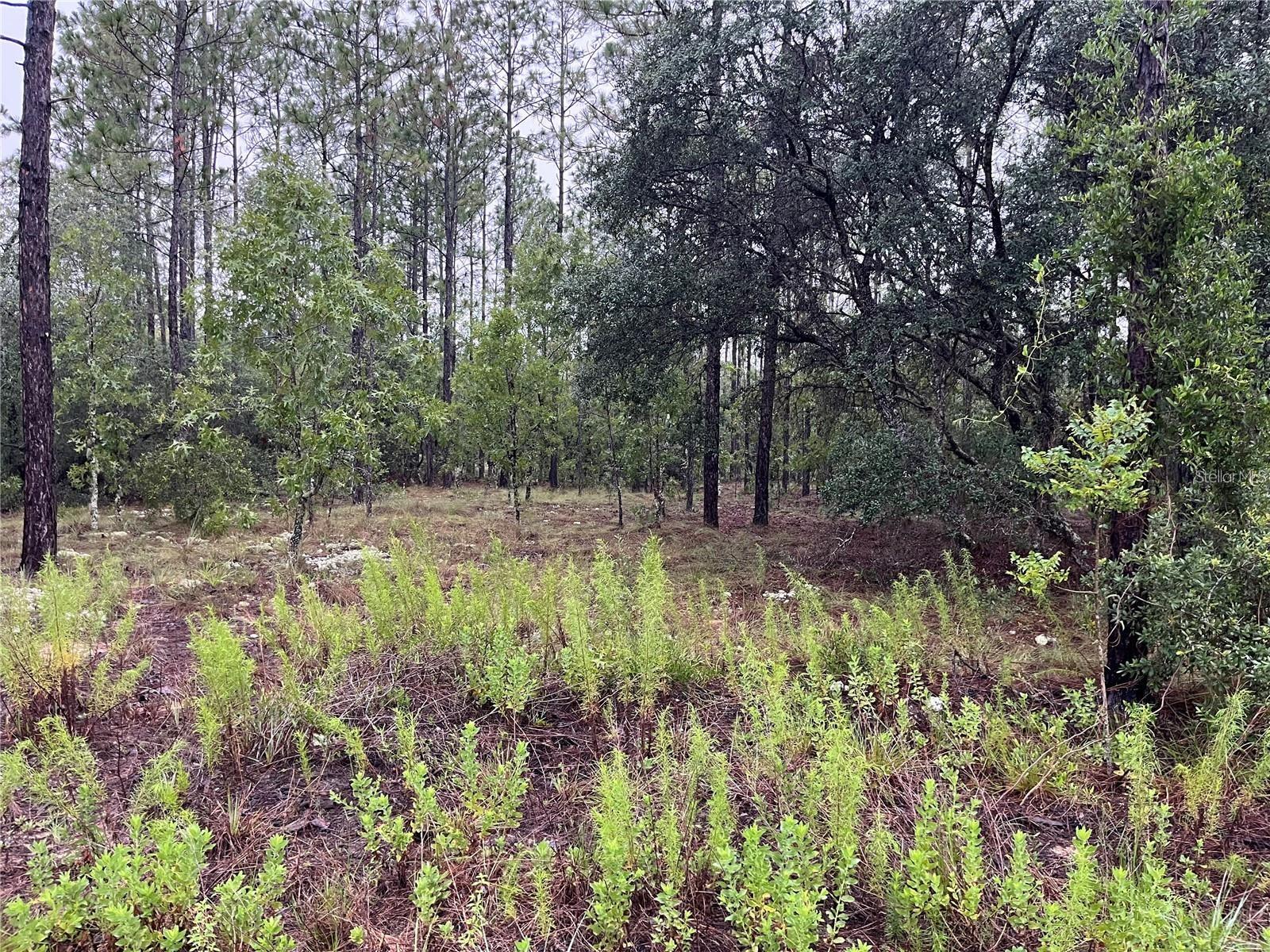 Lot 12 SE 136TH AVE Property Photo 1
