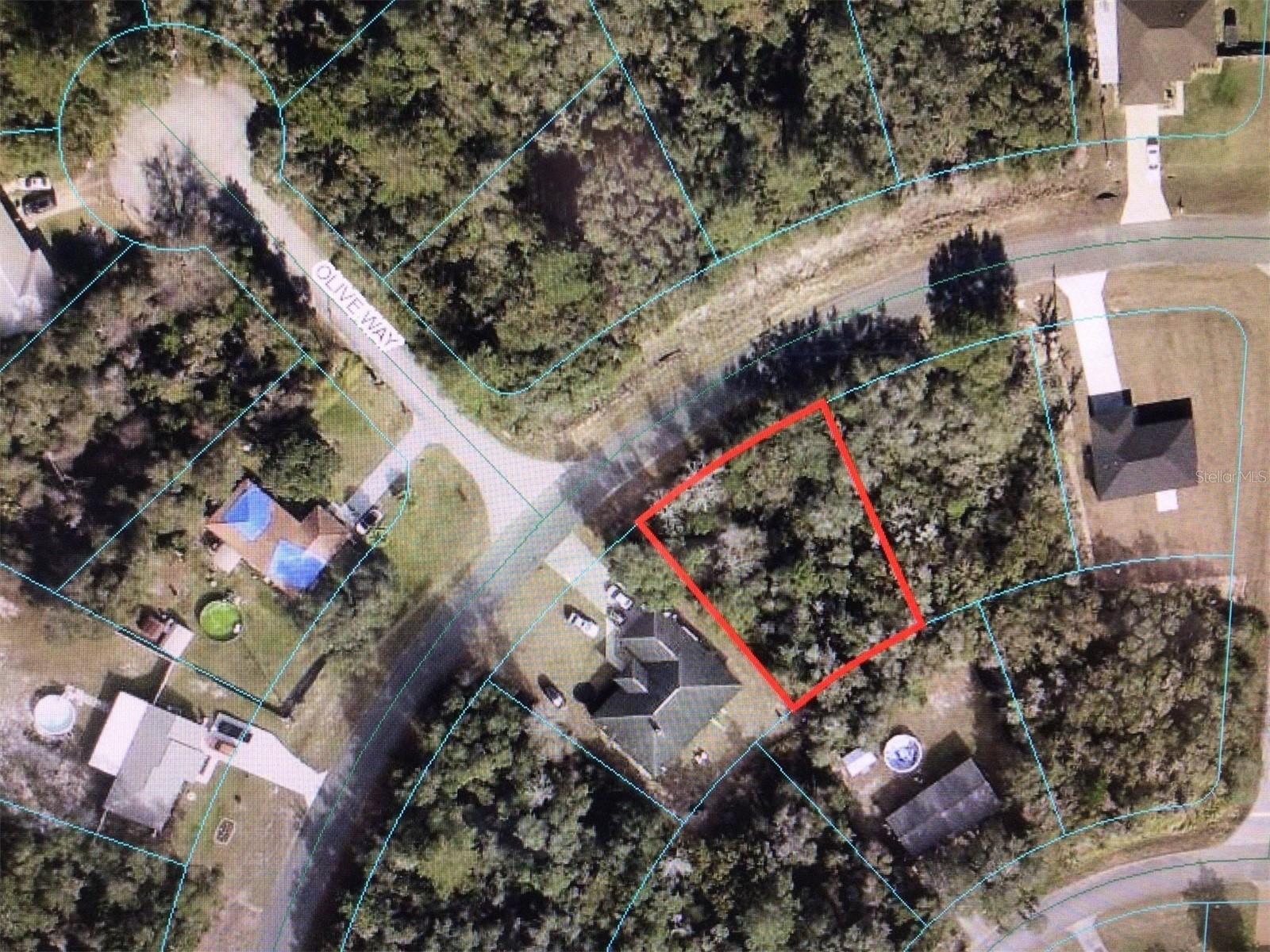 0 Olive Rd Property Photo 2