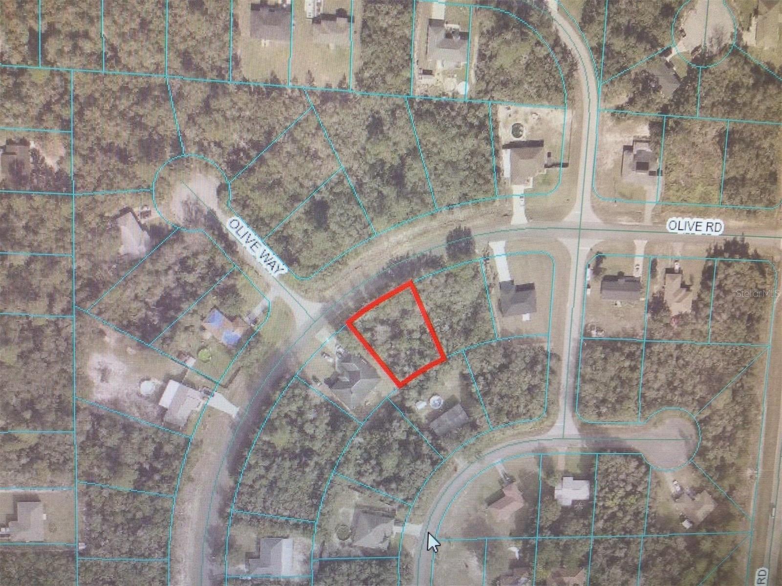 0 Olive Rd Property Photo 3